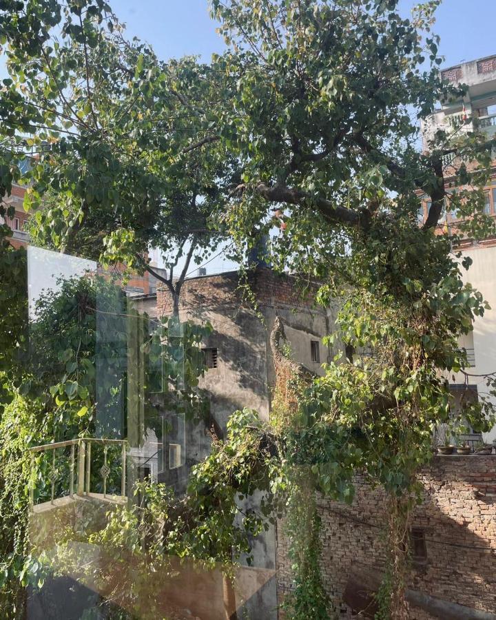 Rooftop Studio And 2Bhk Apartments In Kathmandu'S Most Happening Place Zewnętrze zdjęcie